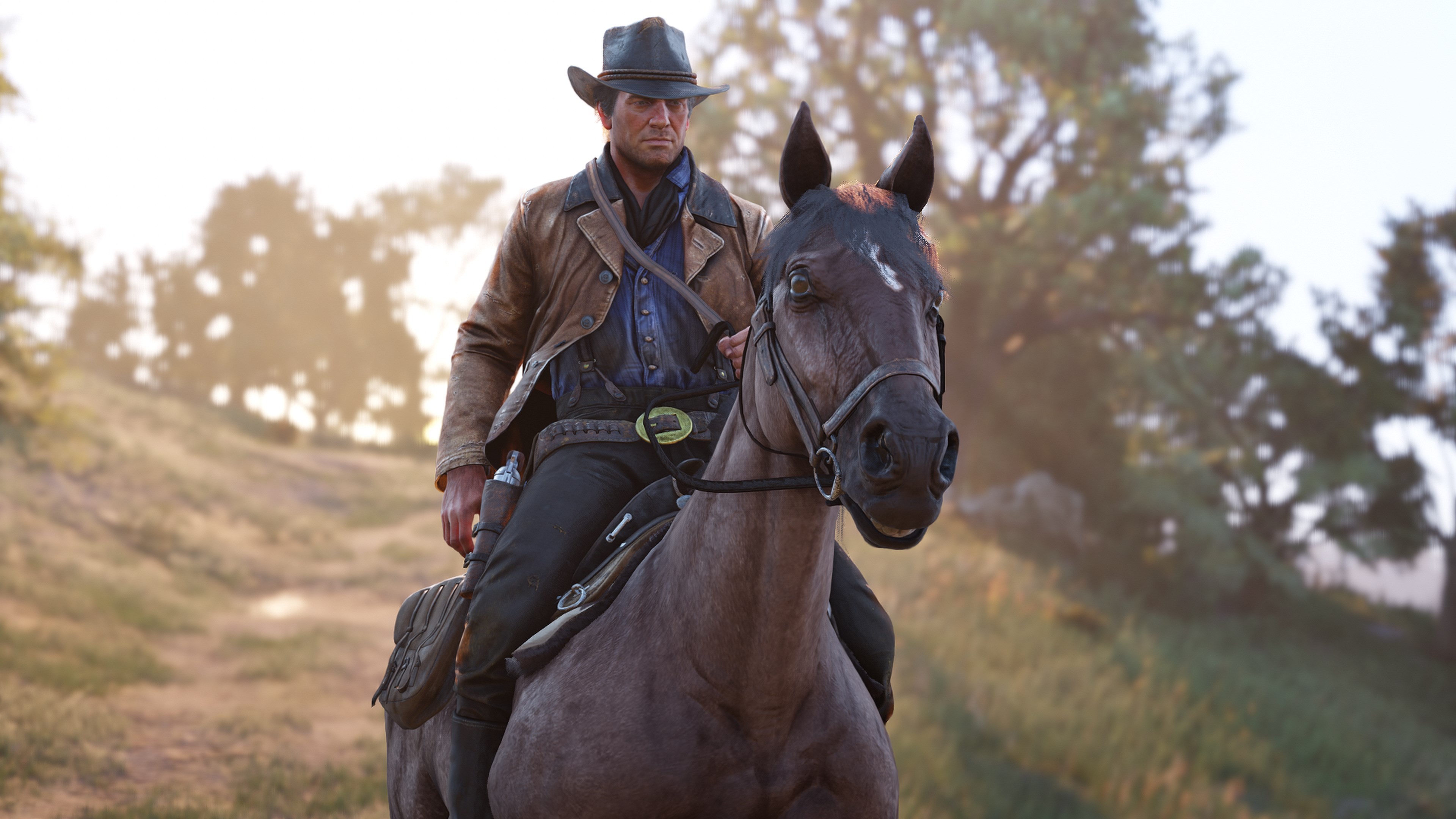 Kaufen Red Dead Redemption 2: Story-Modus und Ultimate-Edition-Inhalte ...