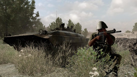Arma 2: Operation Arrowhead screenshot 5