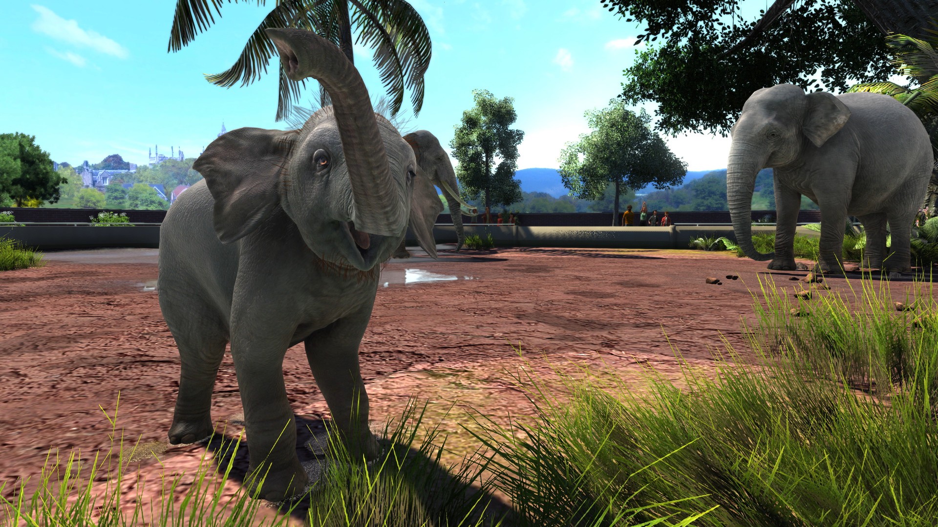 Buy Zoo Tycoon: Ultimate Animal Collection Steam