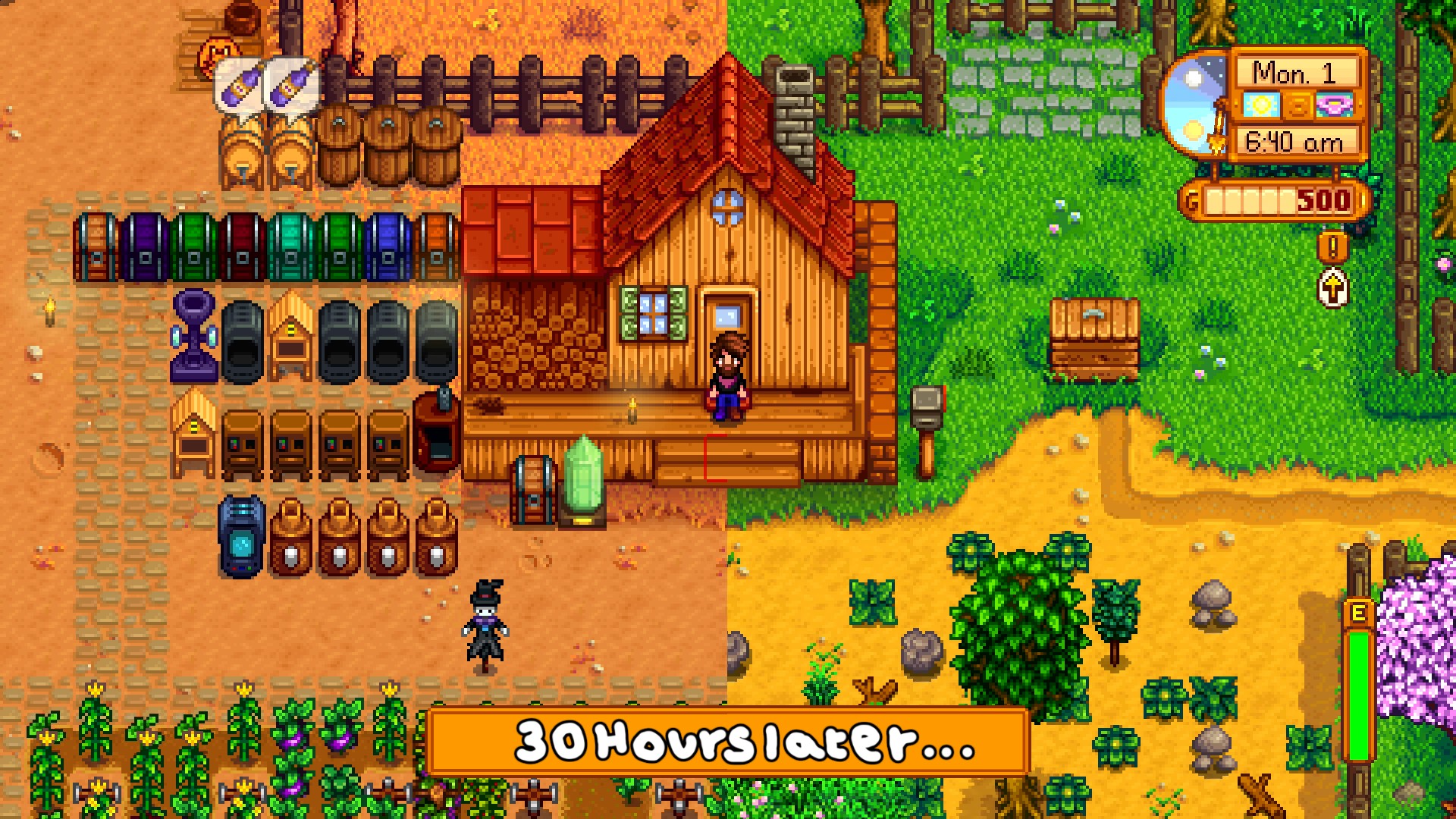 stardew valley mods for switch