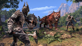 The Elder Scrolls Online: Elsweyr screenshot 5