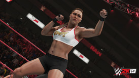WWE 2K19 Season Pass (Xbox ONE / Xbox Series X|S) screenshot 3