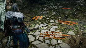 Dark Souls 2: Season Pass screenshot 5