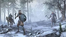The Elder Scrolls Online: Greymoor (Xbox ONE / Xbox Series X|S) screenshot 4