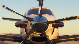 Microsoft Flight Simulator: Deluxe screenshot 2