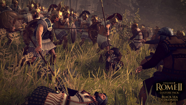 Total War: Rome II - Black Sea Colonies Culture Pack screenshot 1