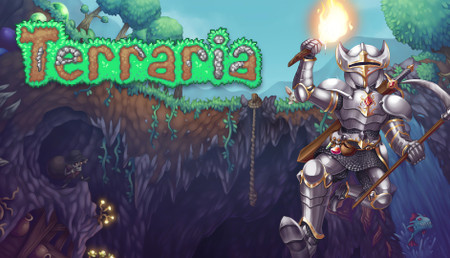 Koop Terraria Steam