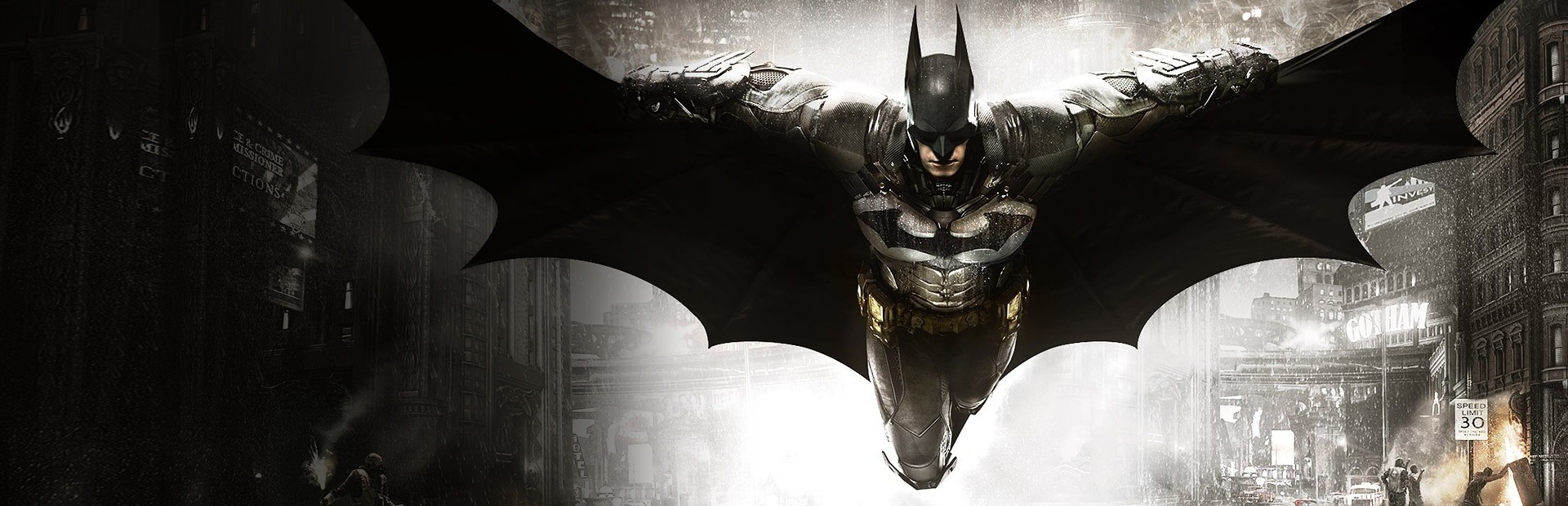 Banner Batman: Arkham Knight Premium Edition