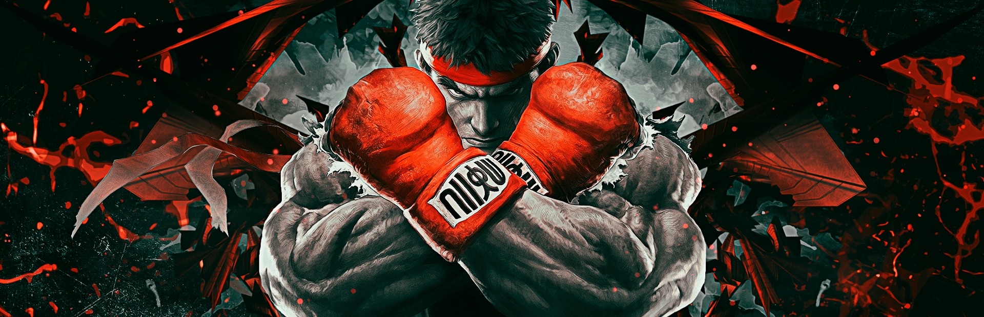Banner Street Fighter V: Champion Edition Upgrade Kit Bundle